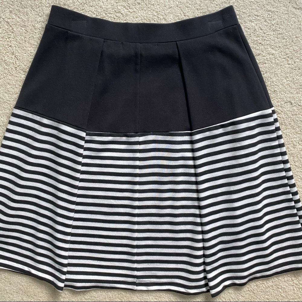 A-Line Stretch Pleated Stripe Skirt